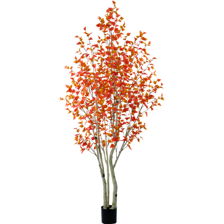 270cm Large Autumn Birch Tree with Orange Foliage PC179-270B-Fall-KD